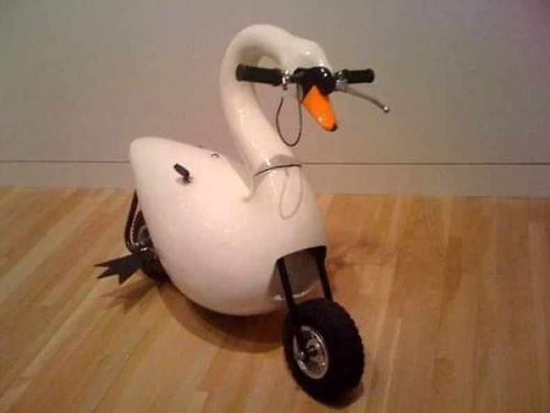 Gewoon een verzameling hilarische foto's #1492
