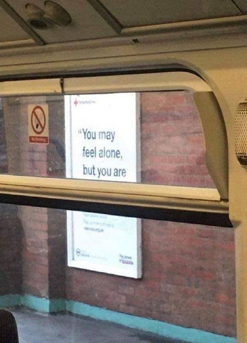Gewoon een verzameling hilarische foto's #1489