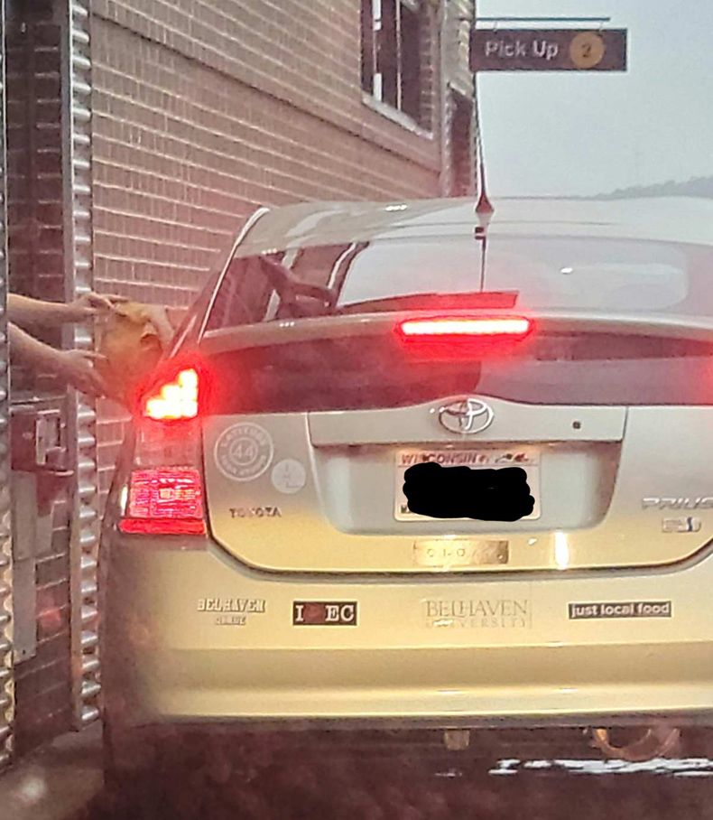 Gewoon een verzameling hilarische foto's #1490