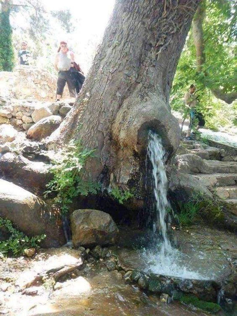 Gewoon een verzameling hilarische foto's #1490