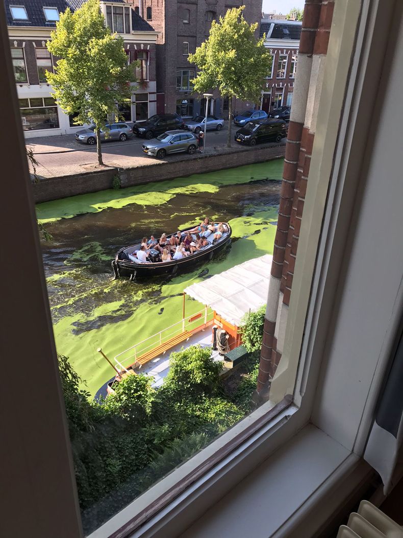 Gewoon een verzameling hilarische foto's #1492