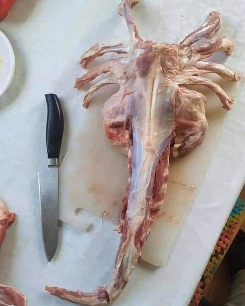 Gewoon een verzameling hilarische foto's #1491