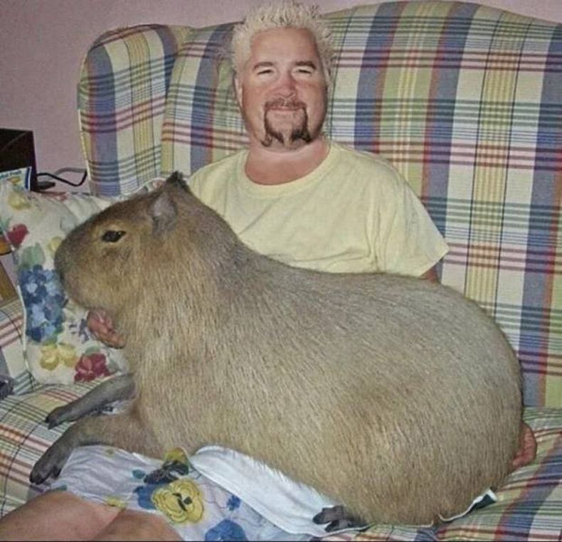 Gewoon een verzameling hilarische foto's #1505