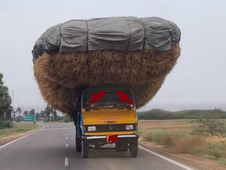 Gewoon een verzameling hilarische foto's #1505