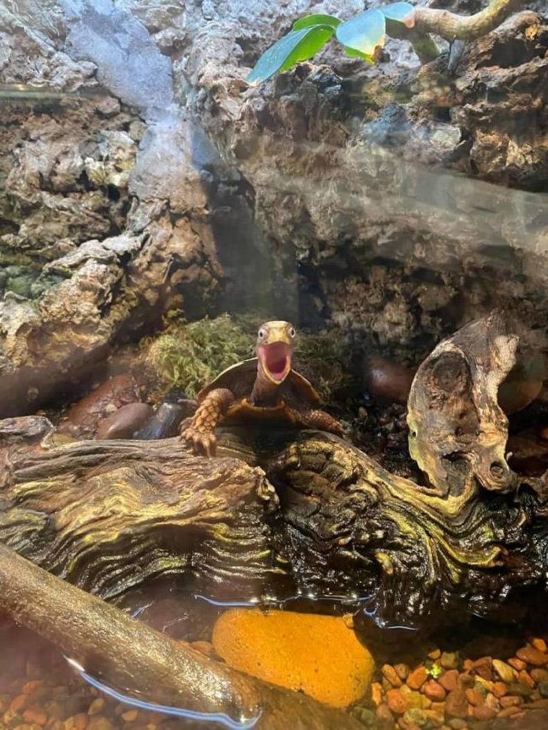 Gewoon een verzameling hilarische foto's #1504