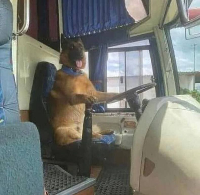 Gewoon een verzameling hilarische foto's #1505
