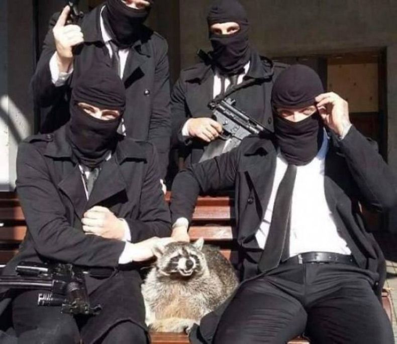 Gewoon een verzameling hilarische foto's #1505