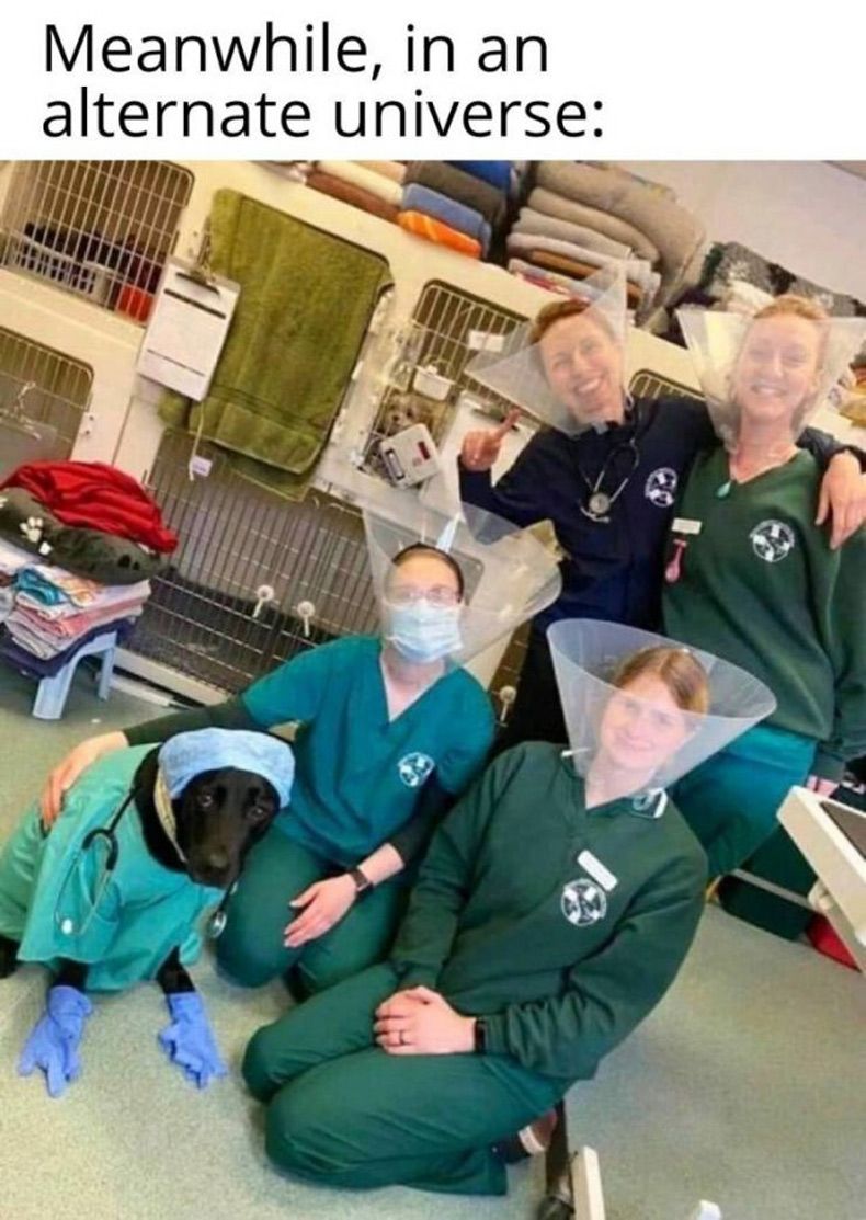 Gewoon een verzameling hilarische foto's #1505