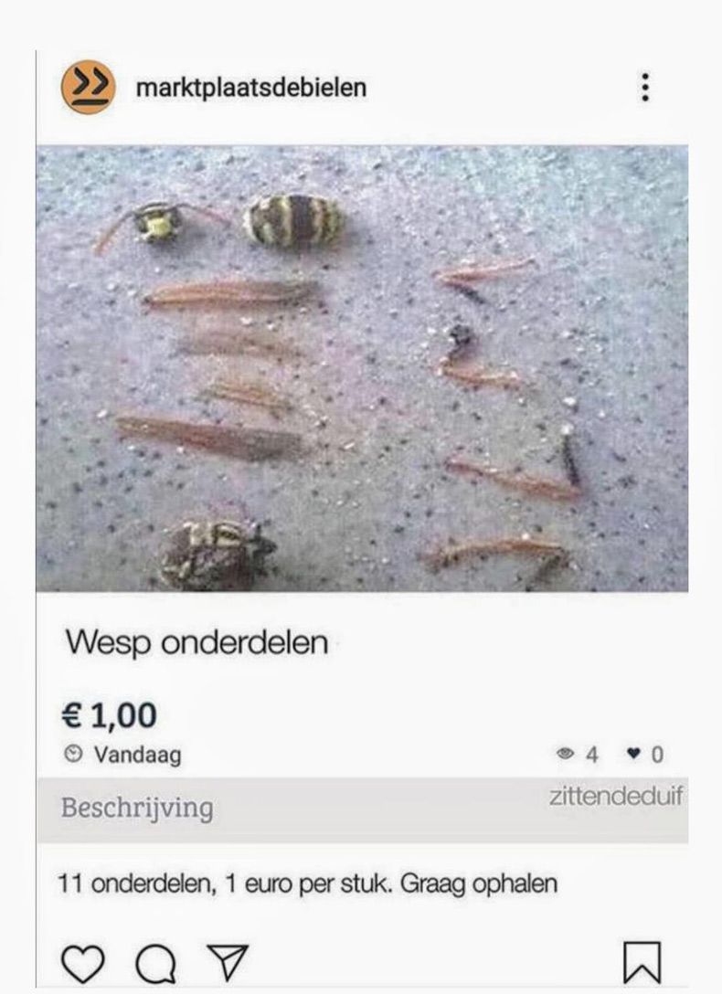 Gewoon een verzameling hilarische foto's #1507