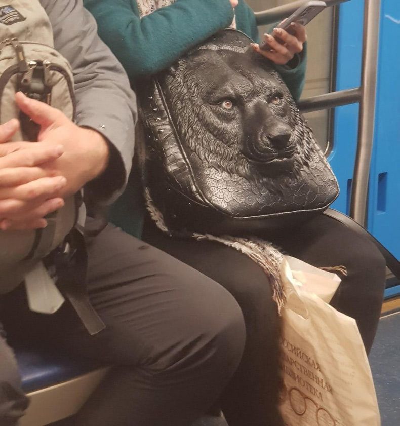 Gewoon een verzameling hilarische foto's #1507