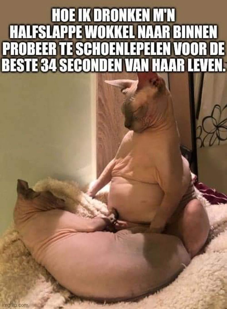 Gewoon een verzameling hilarische foto's #1505