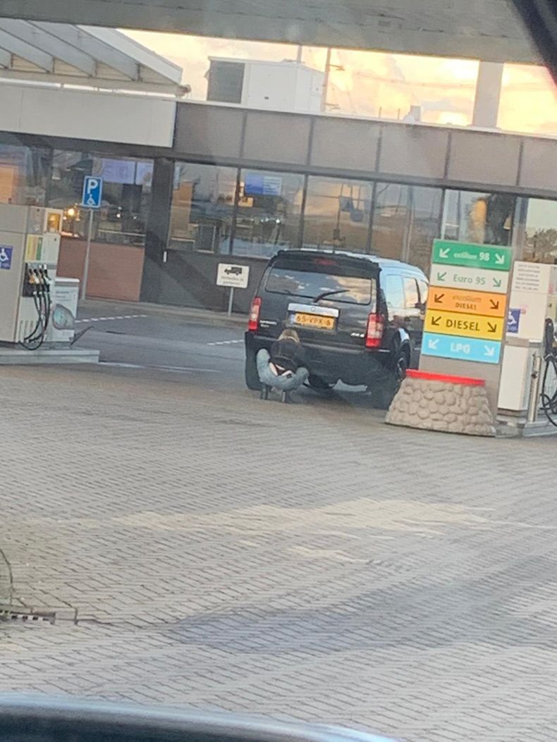 Gewoon een verzameling hilarische foto's #1504