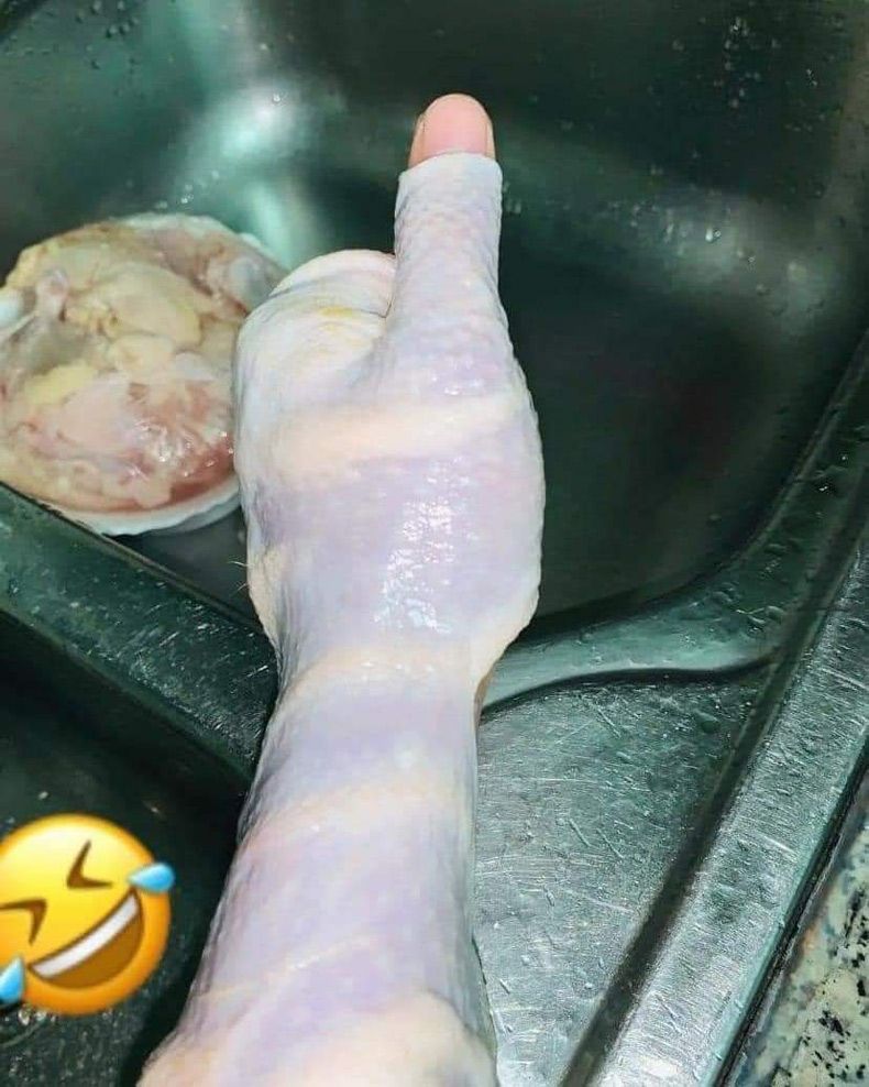 Gewoon een verzameling hilarische foto's #1527