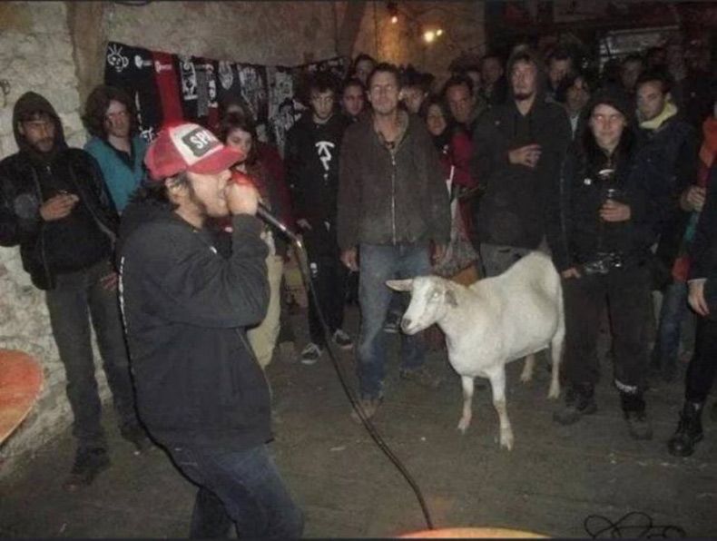 Gewoon een verzameling hilarische foto's #1544