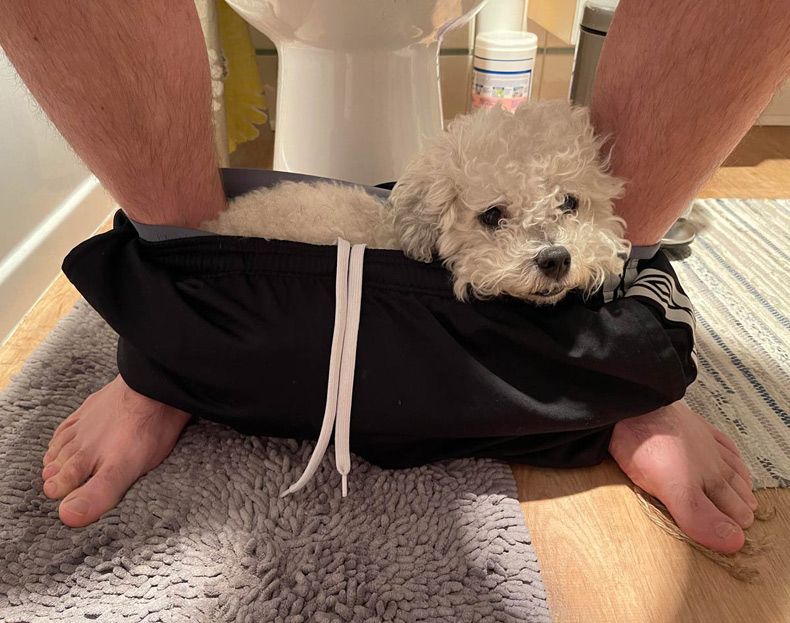 Gewoon een verzameling hilarische foto's #1551