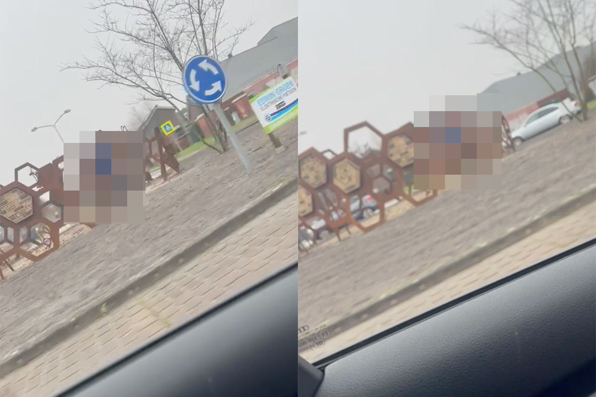 Natuurfilm opgenomen op een rotonde in Assen