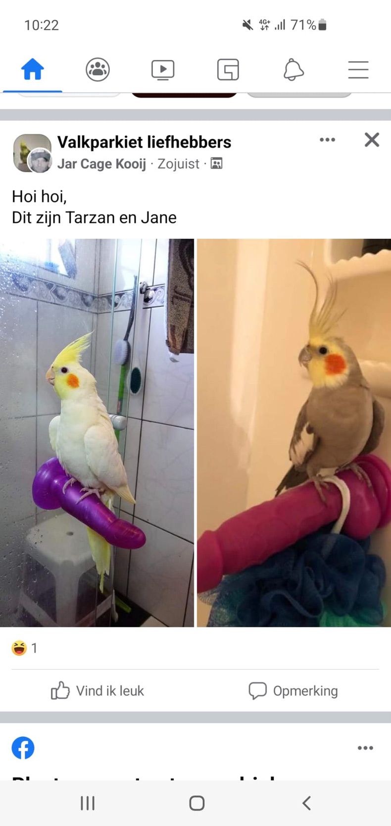 Gewoon een verzameling hilarische foto's #1555