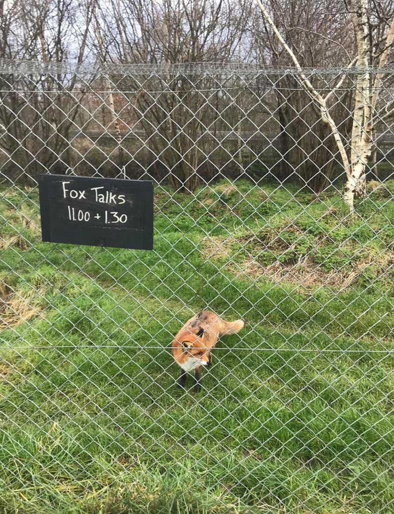 Gewoon een verzameling hilarische foto's #1590