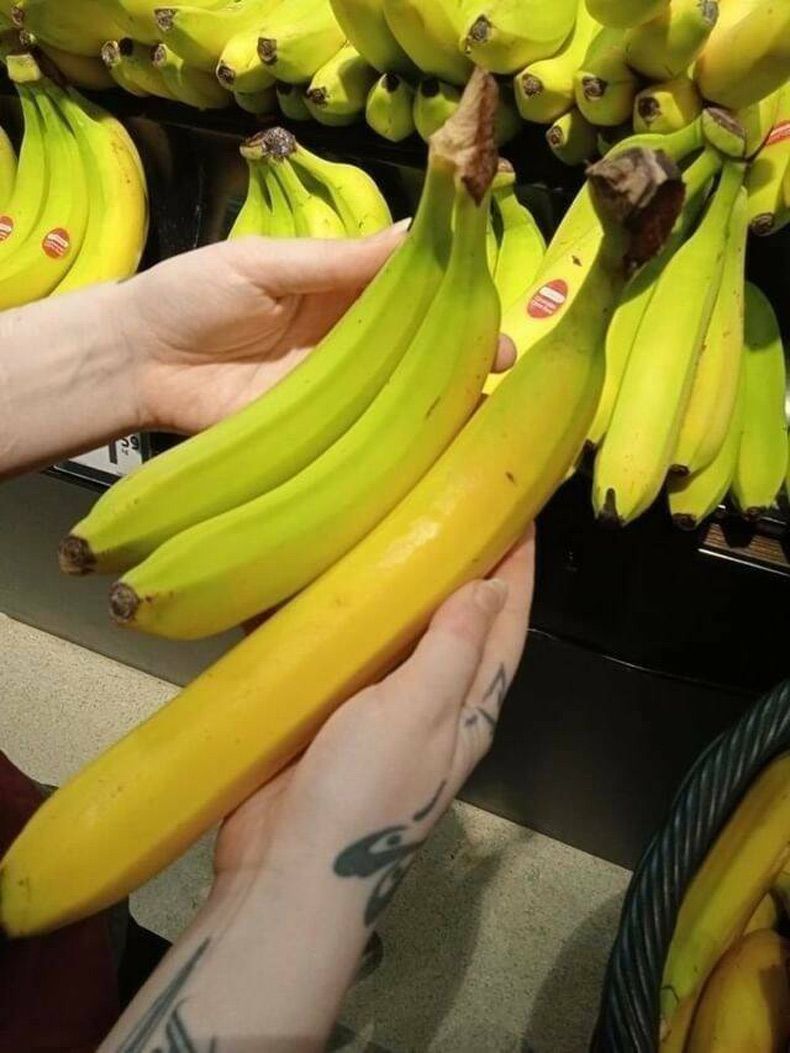 Gewoon een verzameling hilarische foto's #1595