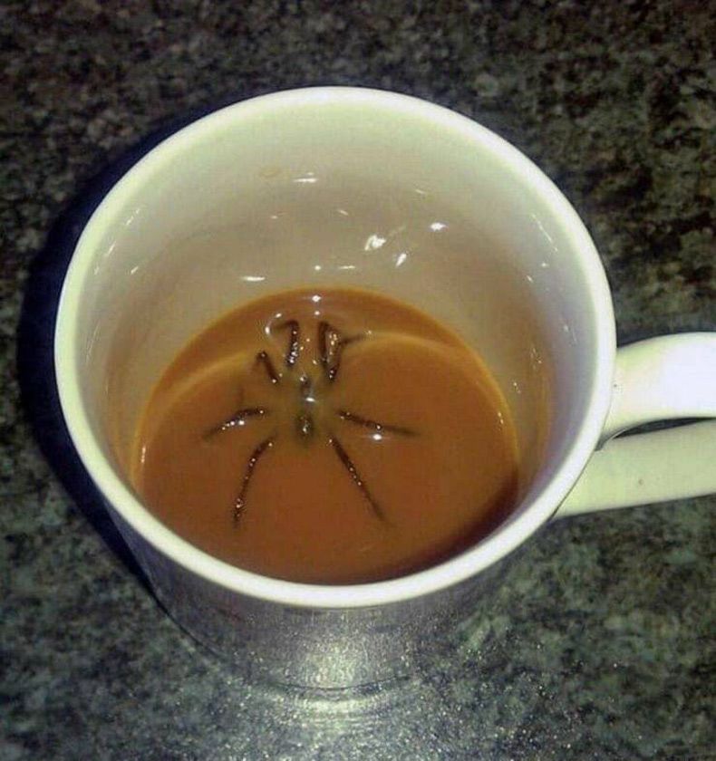 Gewoon een verzameling hilarische foto's #1597