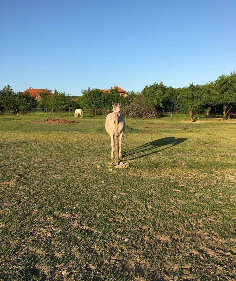 Gewoon een verzameling hilarische foto's #1597