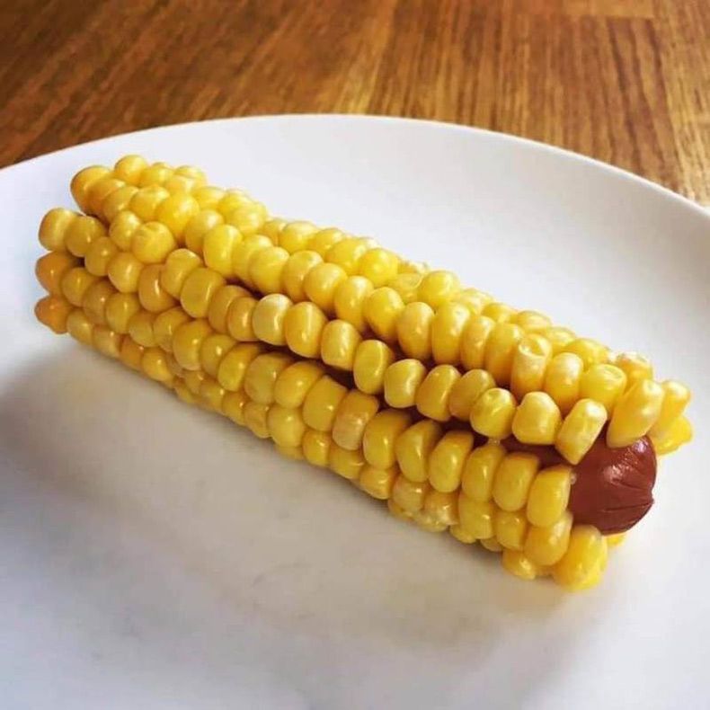 Gewoon een verzameling hilarische foto's #1606