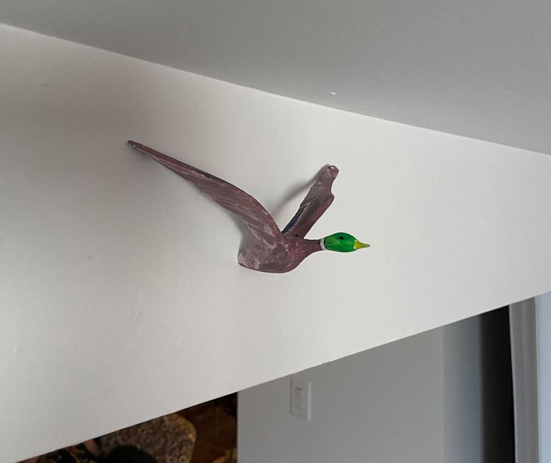 Gewoon een verzameling hilarische foto's #1608