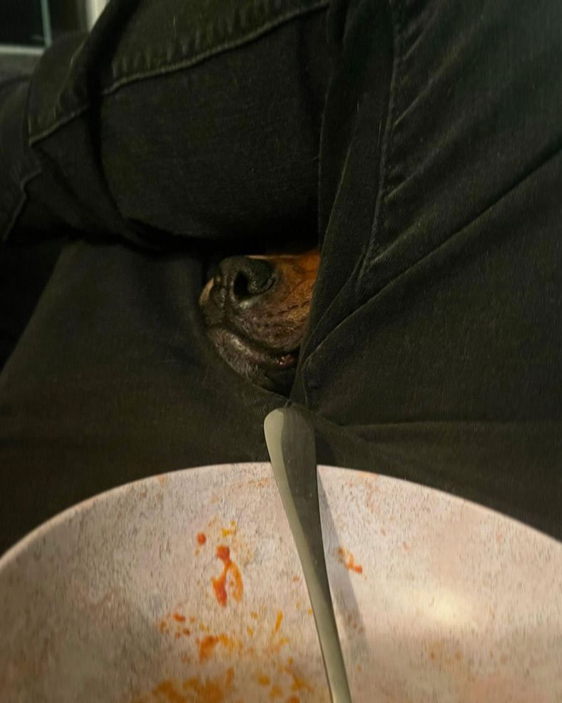 Gewoon een verzameling hilarische foto's #1608