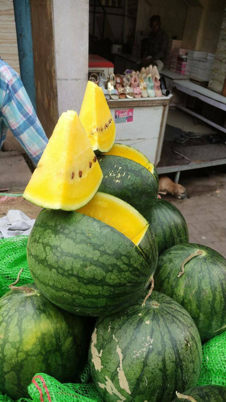 Gewoon een verzameling hilarische foto's #1609