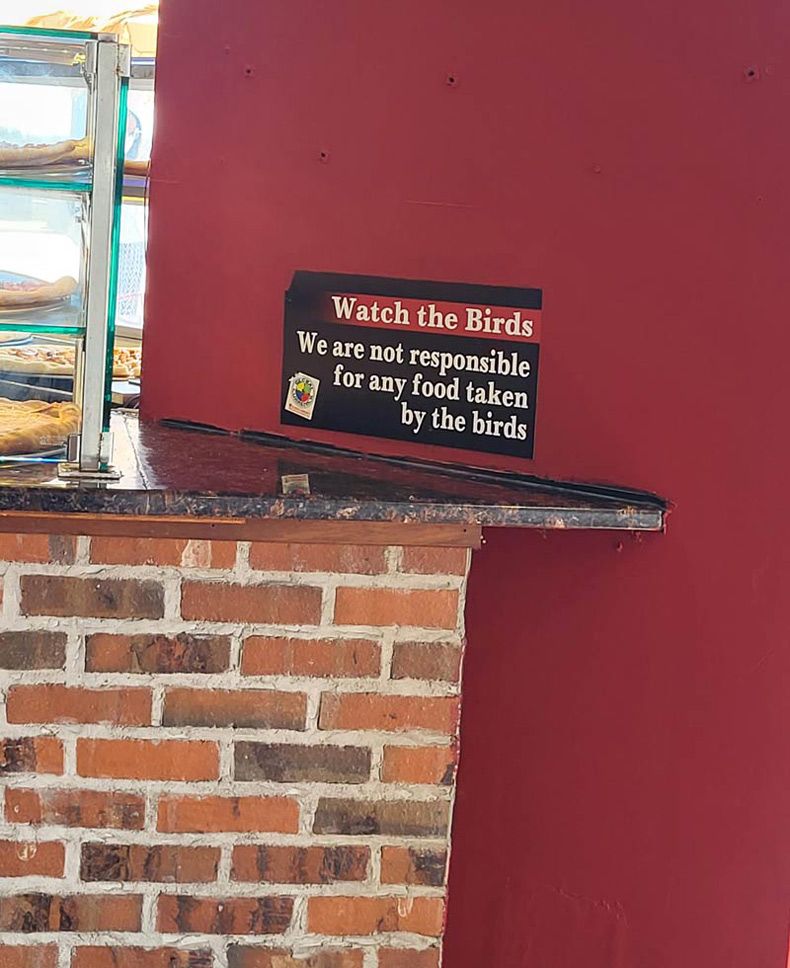 Gewoon een verzameling hilarische foto's #1609