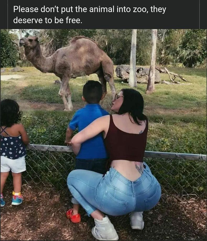 Gewoon een verzameling hilarische foto's #1609