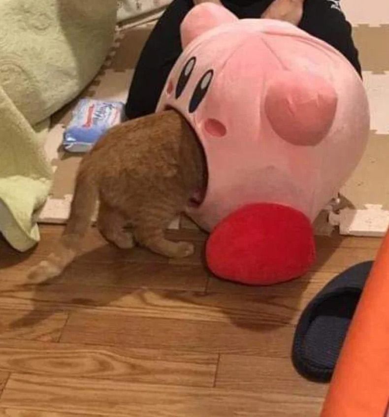 Gewoon een verzameling hilarische foto's #1610