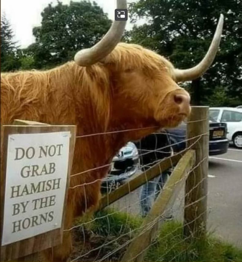 Gewoon een verzameling hilarische foto's #1610