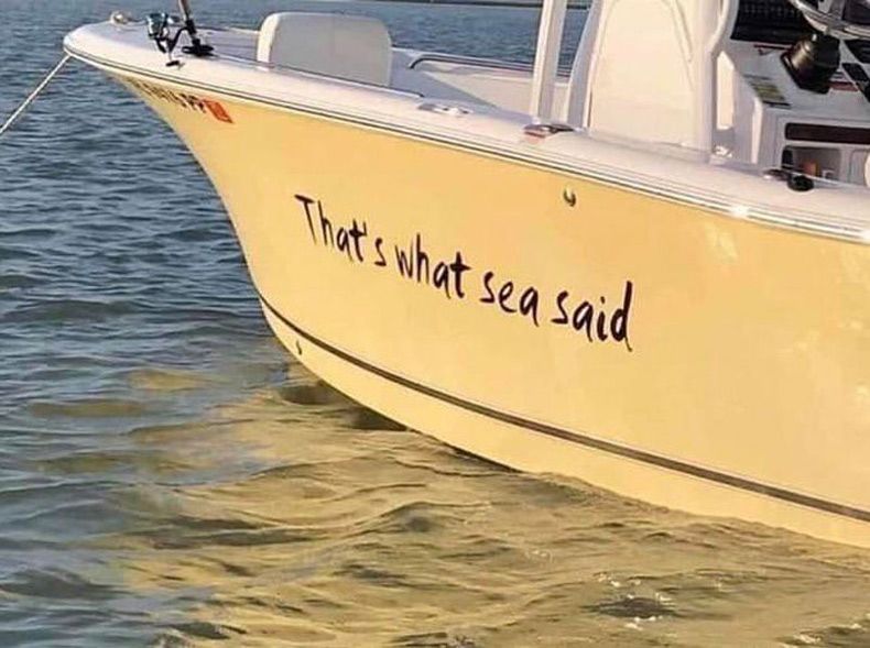 Gewoon een verzameling hilarische foto's #1610