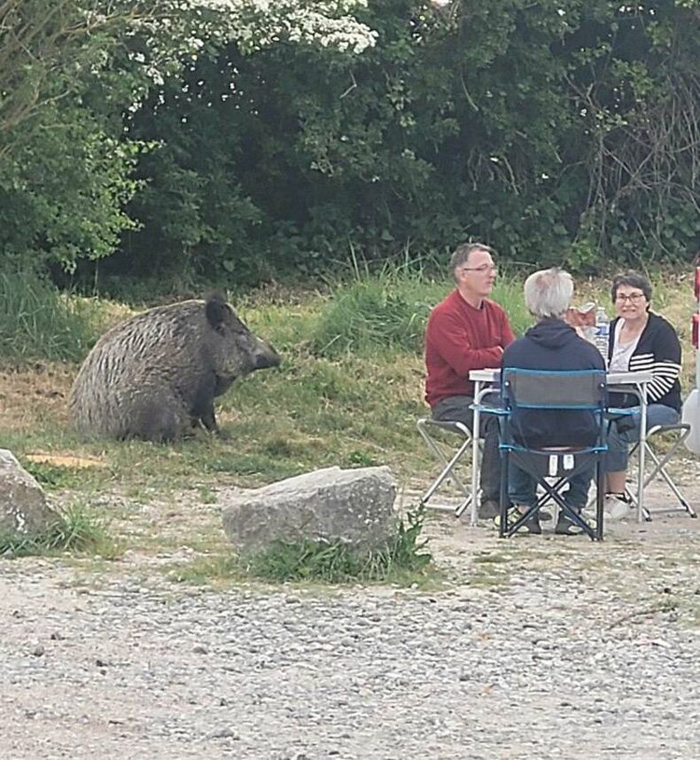 Gewoon een verzameling hilarische foto's #1611