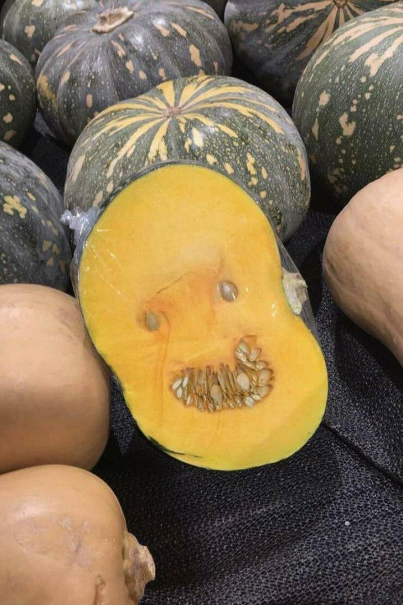 Gewoon een verzameling hilarische foto's #1613