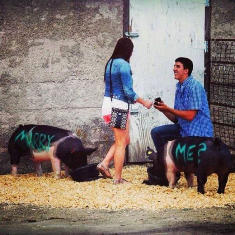 Gewoon een verzameling hilarische foto's #1613