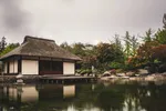Leegstaande huizen spotgoedkoop aangeboden in Japan, maar er zit een addertje onder het gras