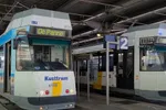 De Lijn pakt deze zomer uit met gratis aanbieding aan de kust, maar er is wel één belangrijke voorwaarde