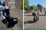 Saaie dag in Bilzen-Hoeselt wordt dan toch nog even opgefleurd door onbeleefd brommermanneke
