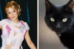 Mannen vallen massaal voor een 'black cat girlfriend'. Wat is dat en waarom is Pommelien Thijs hét schoolvoorbeeld ervan?