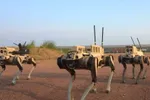 China verandert alles op het slagveld met gewapende 'robotwolven': "Een viervoetige moordmachine!"