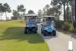 Max Verstappen gaat viraal: zelfs in een golfkar blijft hij andere voertuigen inhalen!
