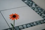 Een tuinman inschakelen voor een sfeervolle buitenruimte