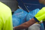 Vlaams-Brabantse ophalers schrikken zich een dild..., euhm hoedje: opvallend pikant speeltje zit in pmd-zak