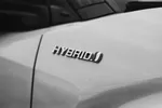 Na de ontploffing in Izegem: zijn hybride wagens een tikkende tijdbom én (veel) gevaarlijker dan volledig elektrische auto's?