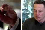 Hallucinant aantal mensen meldt zich aan om Elon Musks hersenchip in te laten planten: "De vraag is waar dit eindigt..."