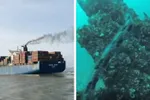 Duiker filmt angstaanjagend moment waarop gigantisch schip centimeters boven hem passeert: "Pure horror!"