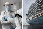 Lijst met landen gelinkt aan hantavirus nadat ‘patiënt nul’ is geïdentificeerd als man die "door ratten geteisterde vuilnisbelt bezocht"