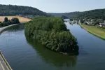 Dit privé-eiland in Wallonië kan van jou zijn voor € 95.000... maar er zit een addertje onder het gras